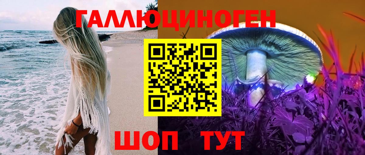 Галлюциногенные грибы Magic Shrooms  Вход с VPN  Псилоцибиновые грибы Psilocybe  Узловая 